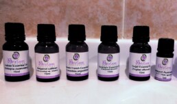 An example of the essential oils that formed the foundation of the original APR 'accords'.